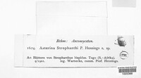 Image Associated With the Occurrence